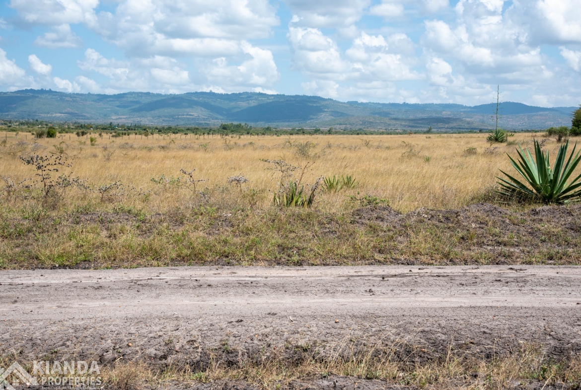 Mitamboni Road