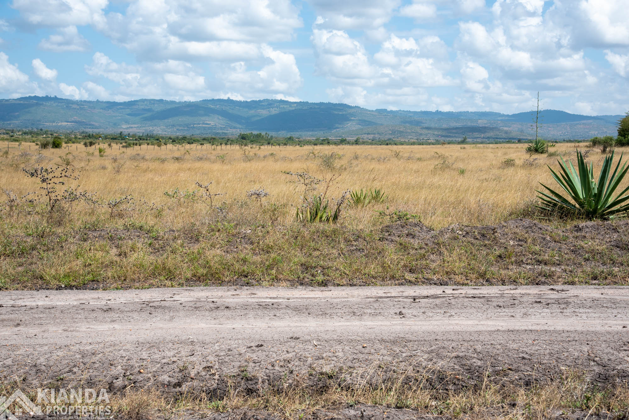 Mitamboni Road