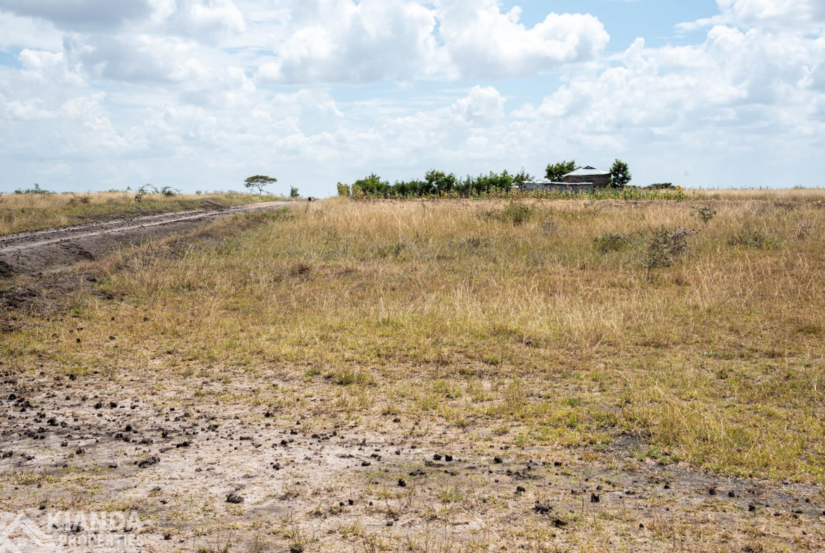 Mitamboni Road