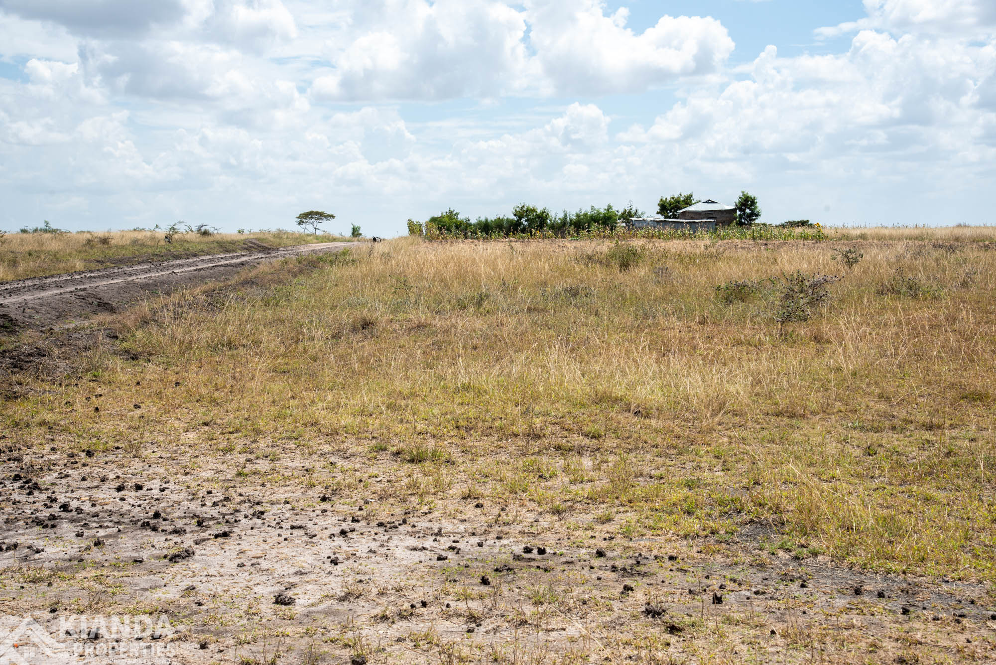 Mitamboni Road