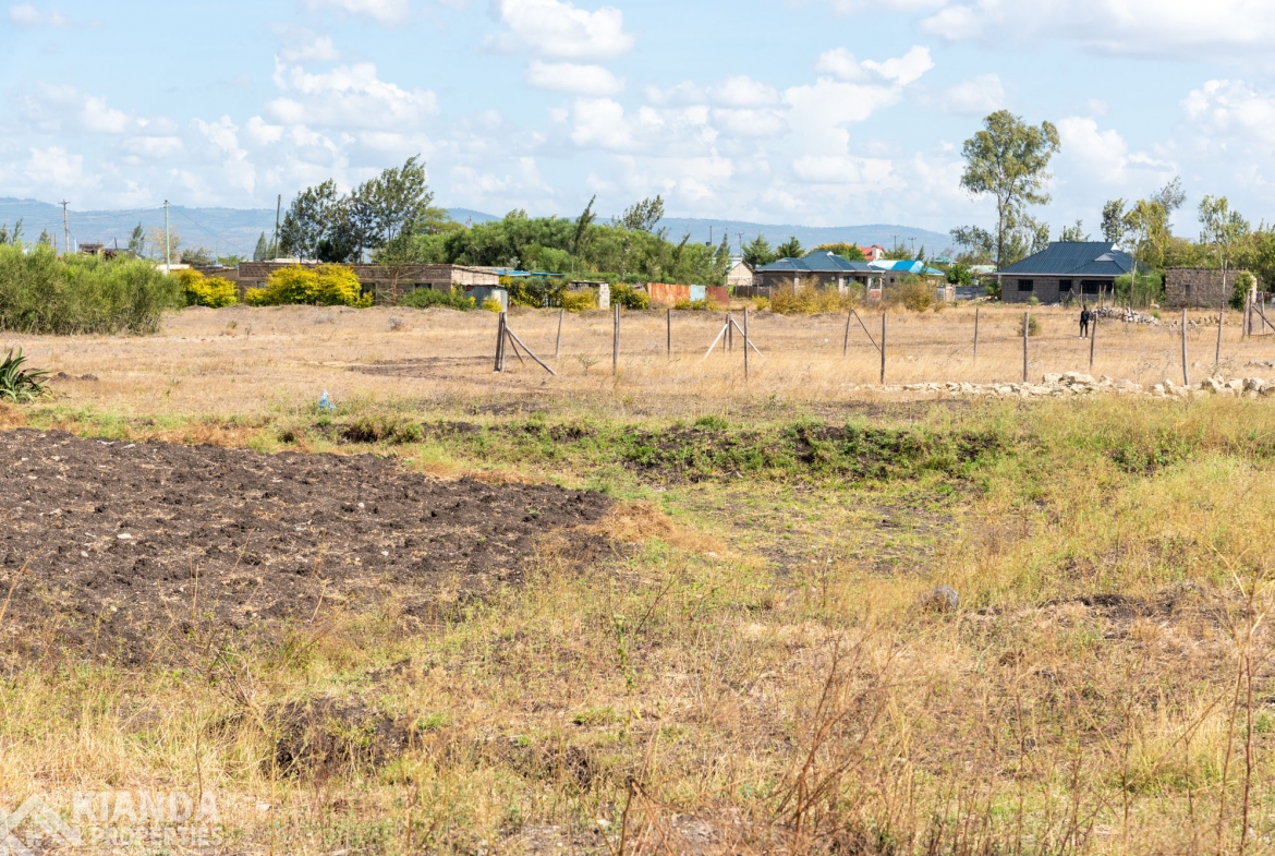 Savanah Gardens Land