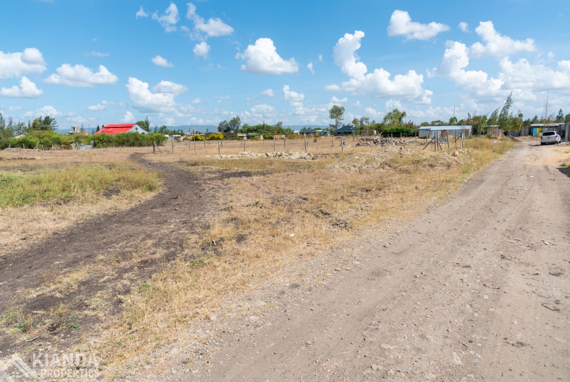 Savanah Gardens Land