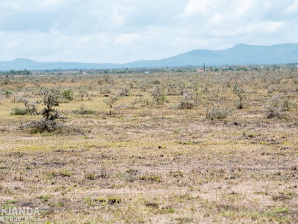 Near St. Monica Children Home Land